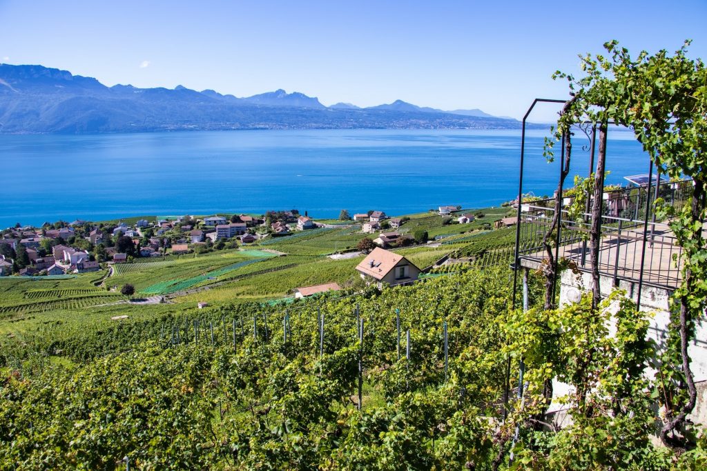 grand vaud suisse lac leman