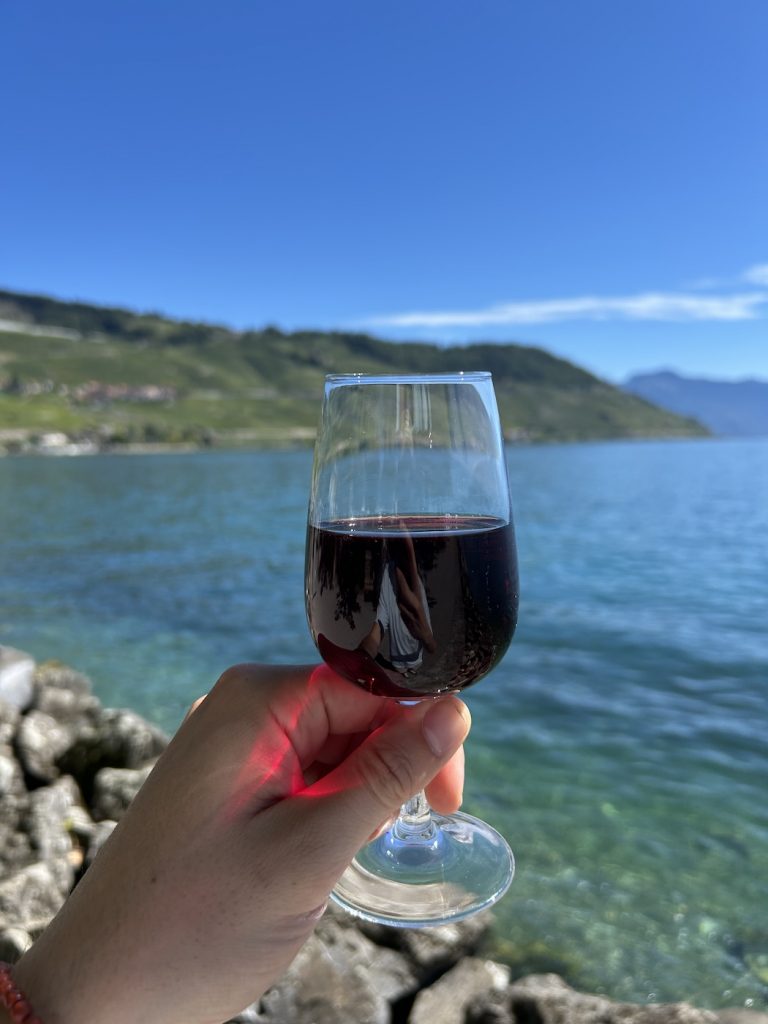 terrasses de lavaux suisse